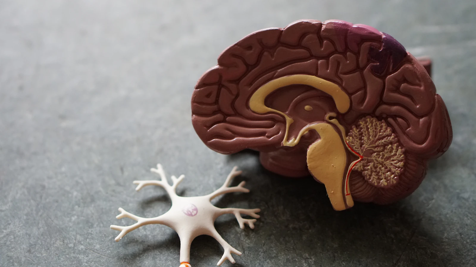 Acupuncture in Osaka: A Beginner's Guide for International Travelers